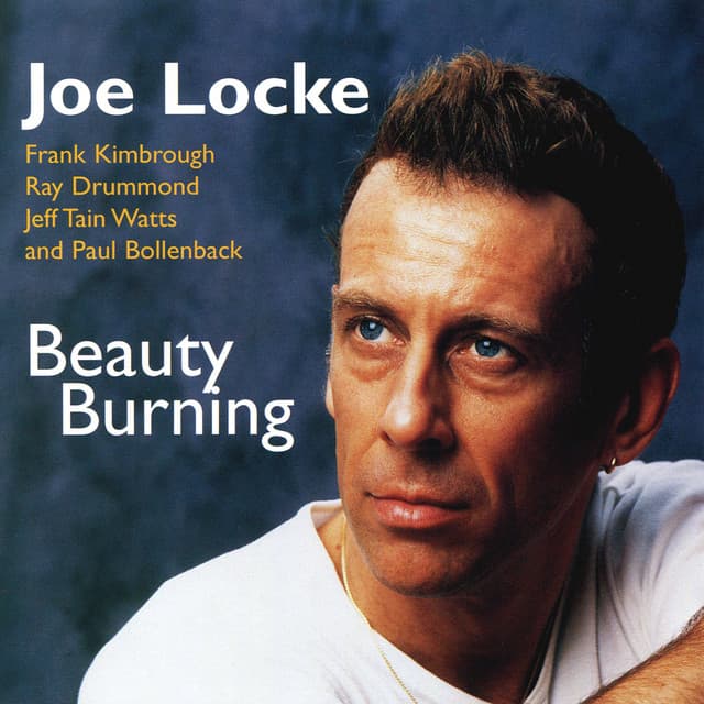 Beauty Burning - Joe Locke