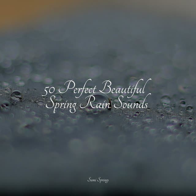 50 Perfect Beautiful Spring Rain Sounds - Pro Sound Effects Library