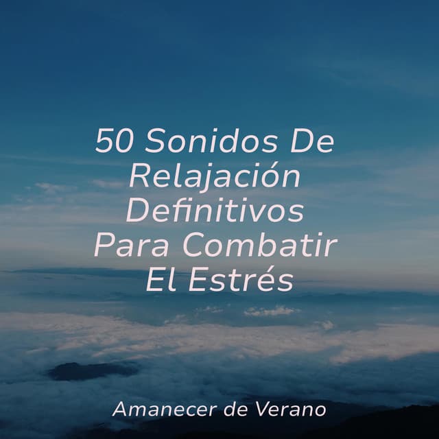 50 Sonidos De Relajación Definitivos Para Combatir El Estrés - Musica para Dormir 101
