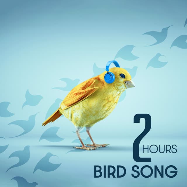 2 Hours Bird Song: The Sounds of Nature for a Quiet Mind - Forest Winston