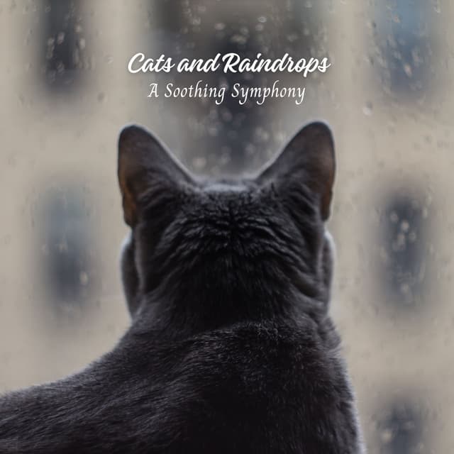 Cats and Raindrops: A Soothing Symphony - Rain Studios