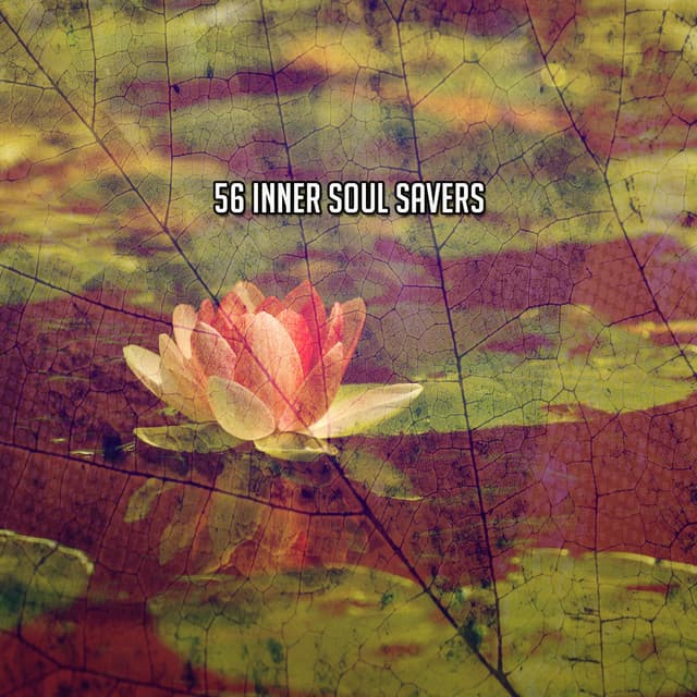 56 Inner Soul Savers - Serenity Spa Music Relaxation
