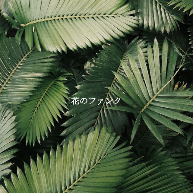 花のファンク - Office Background Music