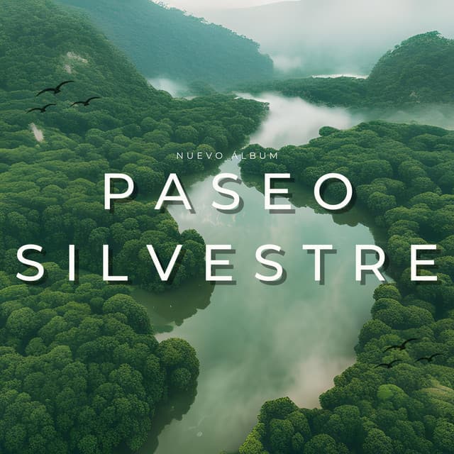 Paseo Silvestre - Sonidos de la Naturaleza Relax