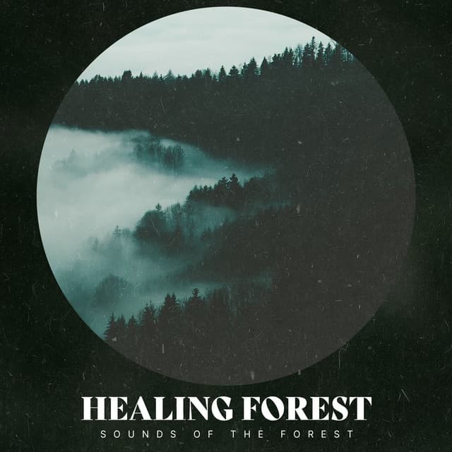 Healing Forest - Sounds of the Forest