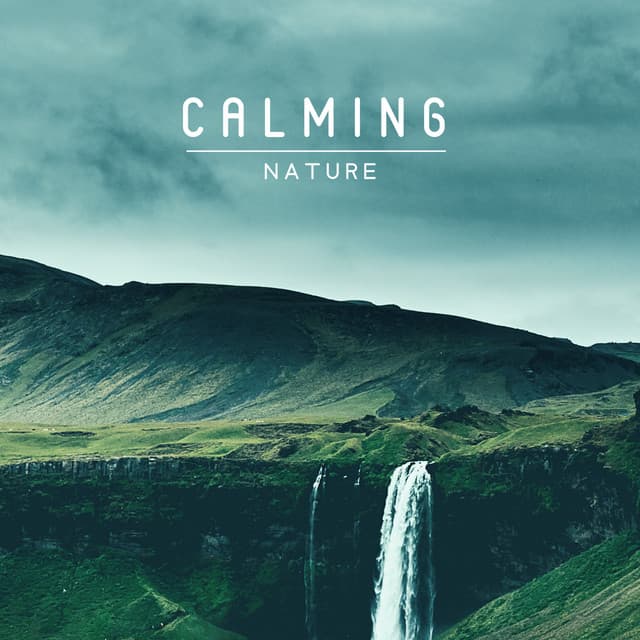 Calming Nature: Relaxing Moments, Touch of Nature, Calmly Sounds - Relaxing Nature Sounds Collection
