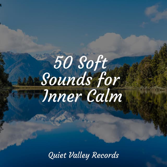 50 Soft Sounds for Inner Calm - Sleep Songs 101