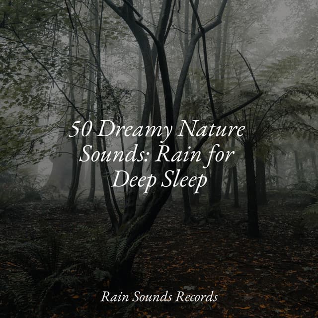 50 Dreamy Nature Sounds: Rain for Deep Sleep - Instrumental