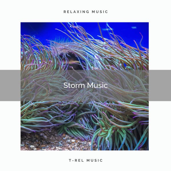Storm Music - Rain Noise Sleep