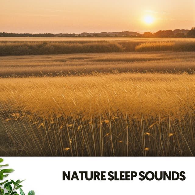 Nature Sleep Sounds: Symphony of Serenity - Música Relajante Para Leer