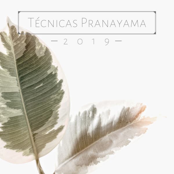 Técnicas Pranayama 2019 - 20 Canciones Ejercicios de Respiración y Yoga - Reiki Armonía