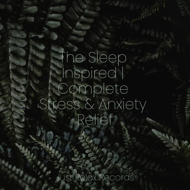 The Sleep Inspired | Complete Stress & Anxiety Relief - Schlaflieder Für Kinder