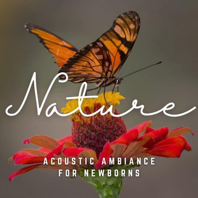 Tiny Miracles: Acoustic Ambiance for Newborns - Paz Sounds