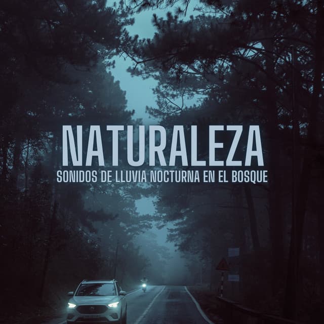 Naturaleza: Sonidos De Lluvia Nocturna En El Bosque - Sueño Sonidos Lluvia