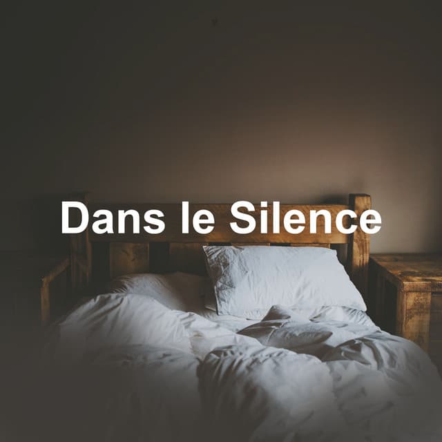 Dans le Silence - Musique Relaxante et Détente