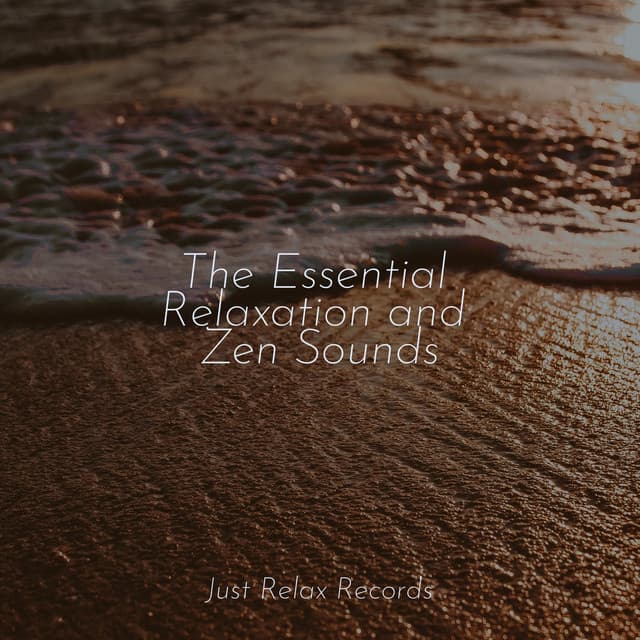 The Essential Relaxation and Zen Sounds - Forest Sounds