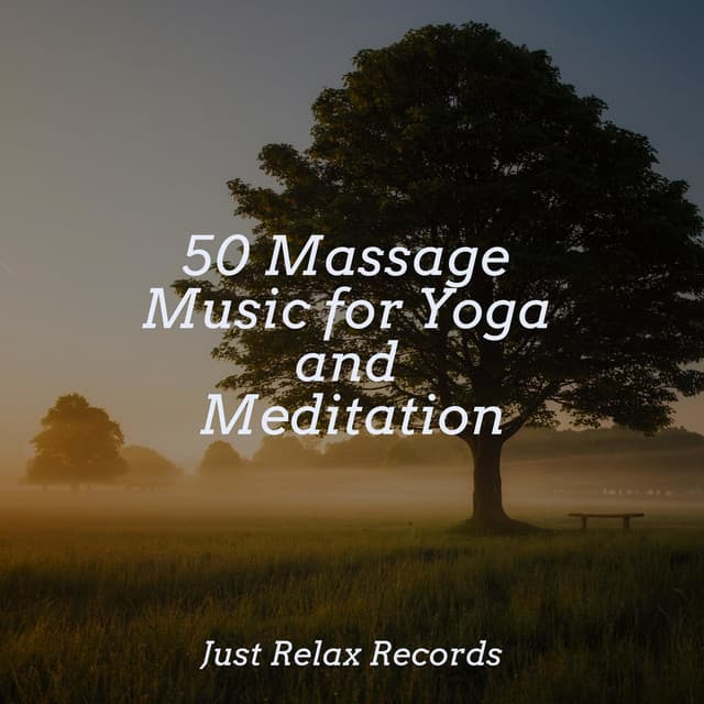 50 Massage Music for Yoga and Meditation - Meditation