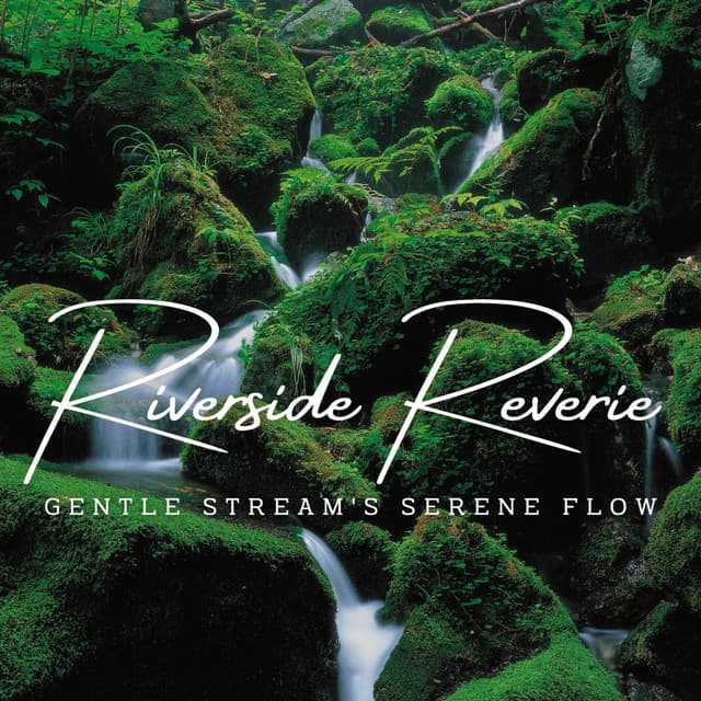 Mystic River Streams: Meditative Water Serenity - Water Meditations