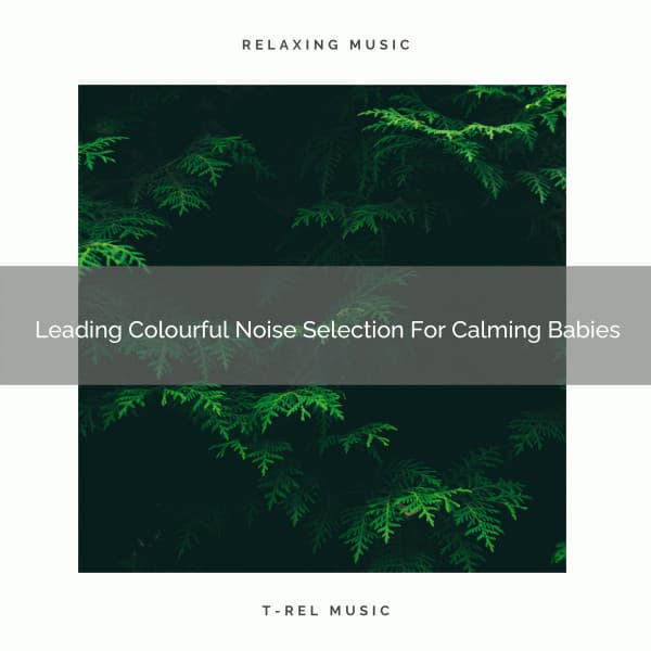 Leading Colourful Noise Selection For Calming Babies - Sleep Noise / Sleepy Noise