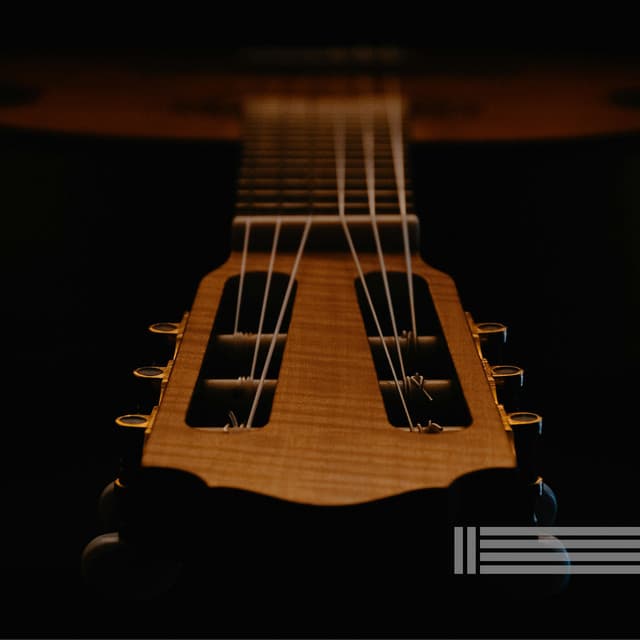 Gentle Guitar
