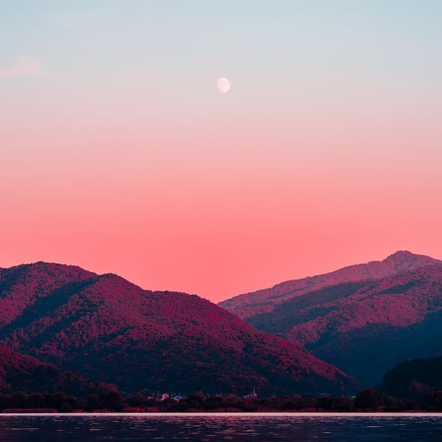 50 Gentle Sounds for Instant Tranquility - Nature Sounds Artists