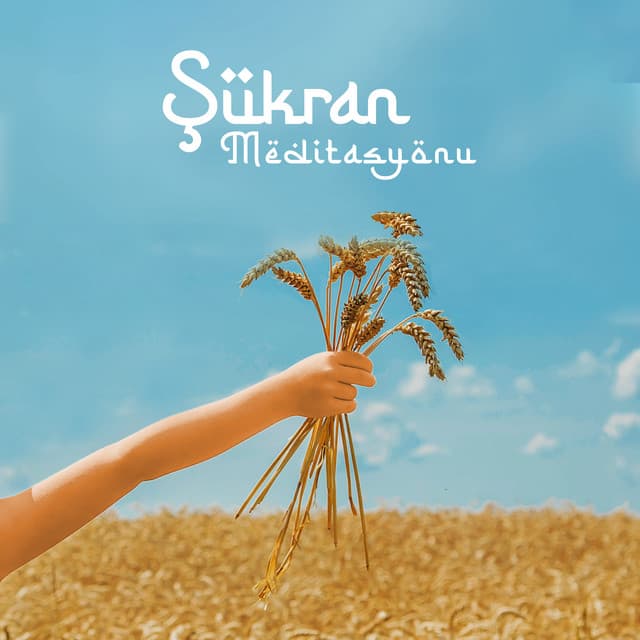Şükran Meditasyonu - Jesstai Reya