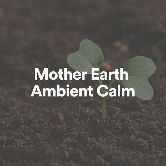 Mother Earth Ambient Calm - Mother Earth Sounds