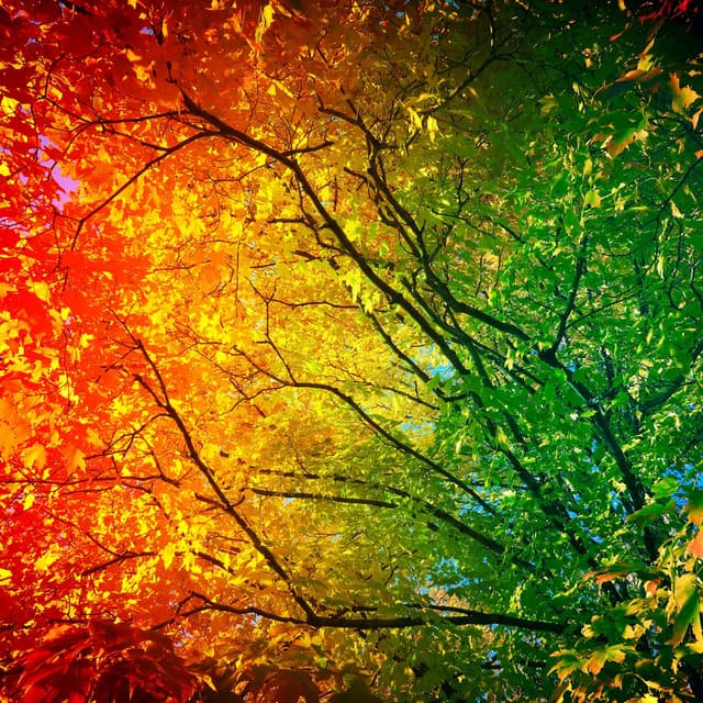 Symphony of Seasons: Nature's Ever-Changing Chorus - Mindvellous