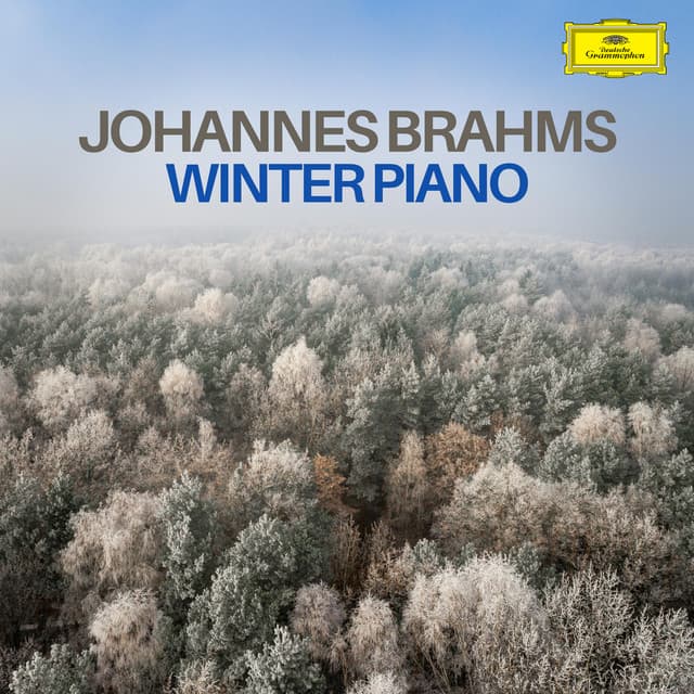 Brahms: Winter Piano - Johannes Brahms
