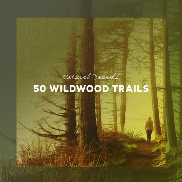 50 Wildwood Trails - Natural Sounds
