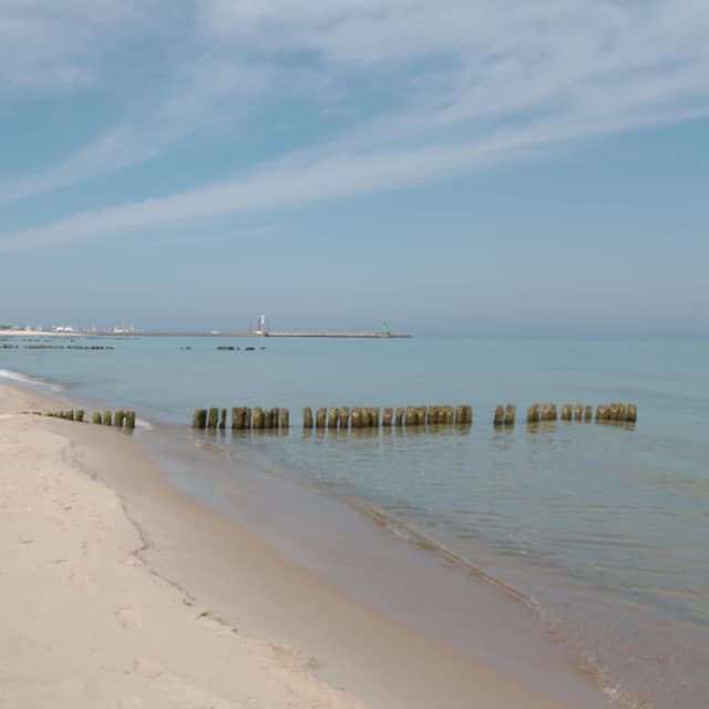 Dolphin on the Sea - Jazzy Coffee