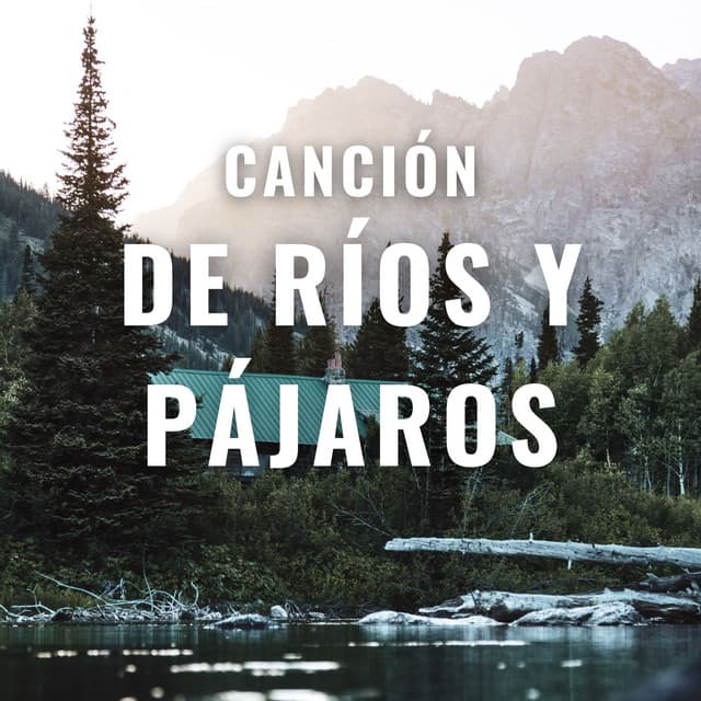 Canción De Ríos Y Pájaros - Sonido del Agua Ruido Blanco Natural