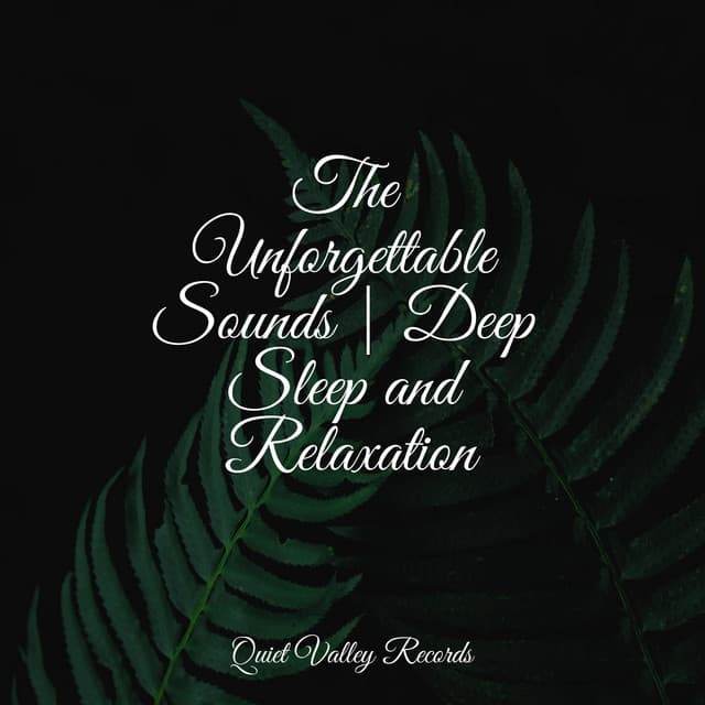 The Unforgettable Sounds | Deep Sleep and Relaxation - Reiki Music