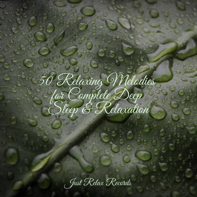 50 Relaxing Melodies for Complete Deep Sleep & Relaxation - Musica Romantica