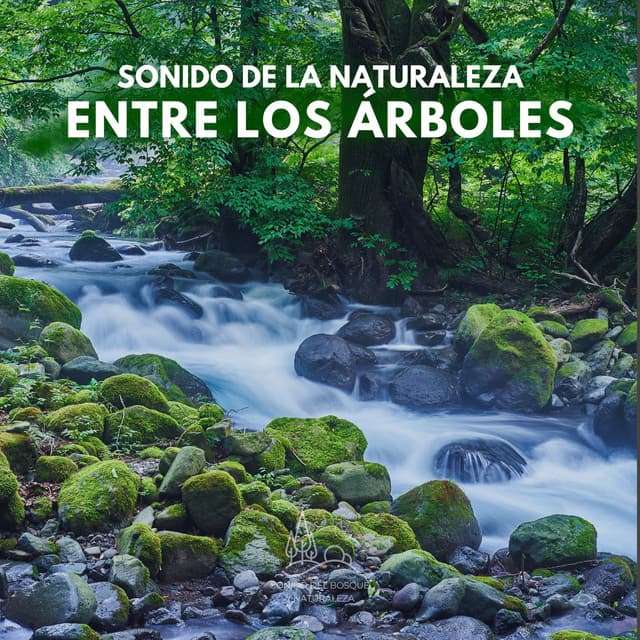 Sonido de la Naturaleza: Entre los Árboles - Sonido Del Bosque y Naturaleza