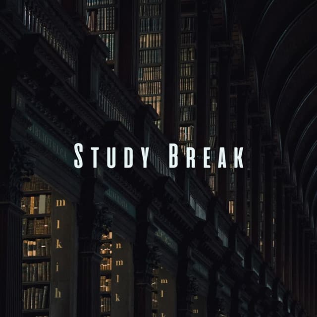 Study Break: Calming Meditation Melodies - Study Music Experience