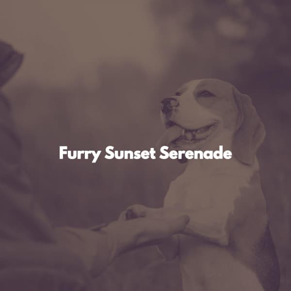 Furry Sunset Serenade - Happy Dinner Music