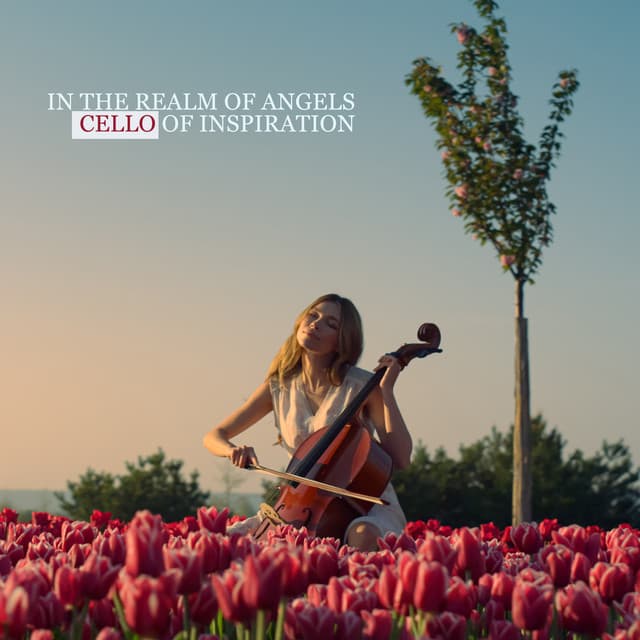 In the Realm of Angels: Cello of Inspiration, A Feeling of Peace, A World of Love and Light - Cello Soul Universe