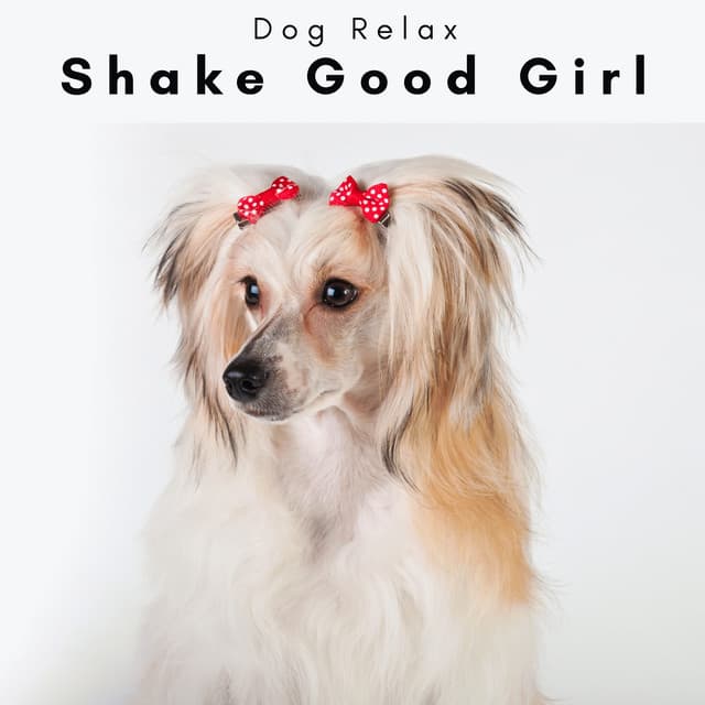 2 0 2 3 Shake Good Girl - Dog Relax