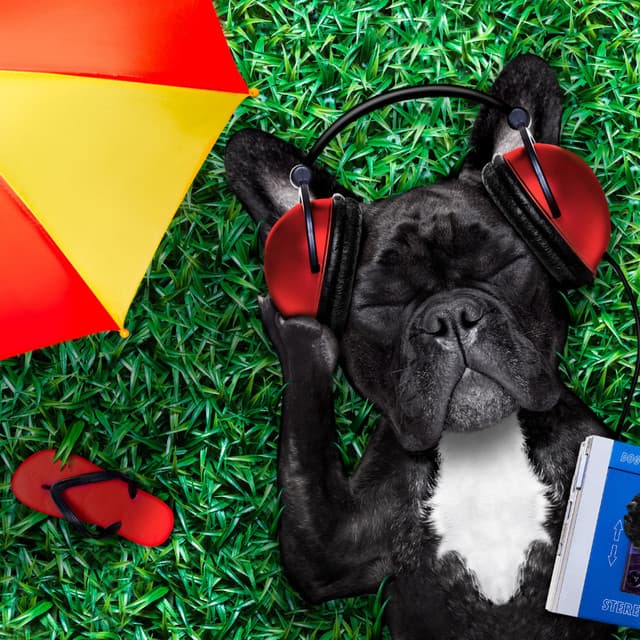 Paws and Peace: Ambient Music Dogs - Relaxing Music for Dogs