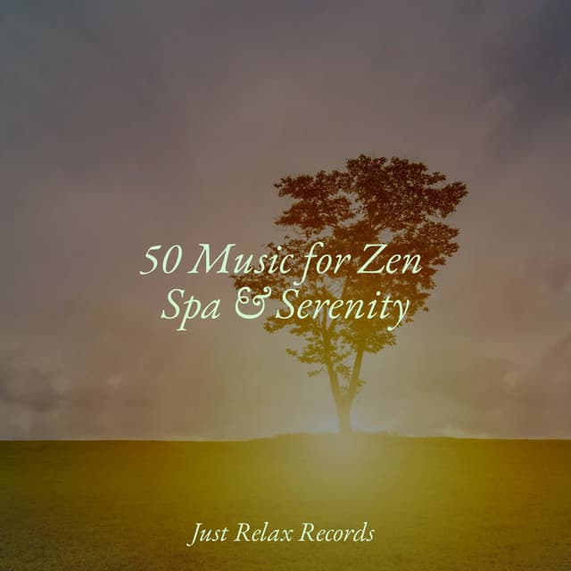 50 Music for Zen Spa & Serenity - Yoga Music