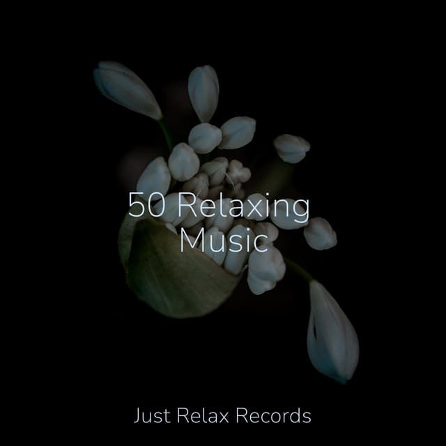50 Relaxing Music - Schlaflieder Für Kinder