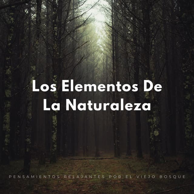 Los Elementos De La Naturaleza: Pensamientos Relajantes Por El Viejo Bosque - Sonidos Naturaleza