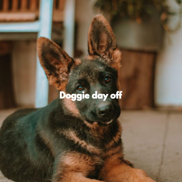 Doggie day off - Musik am Sonntagmorgen