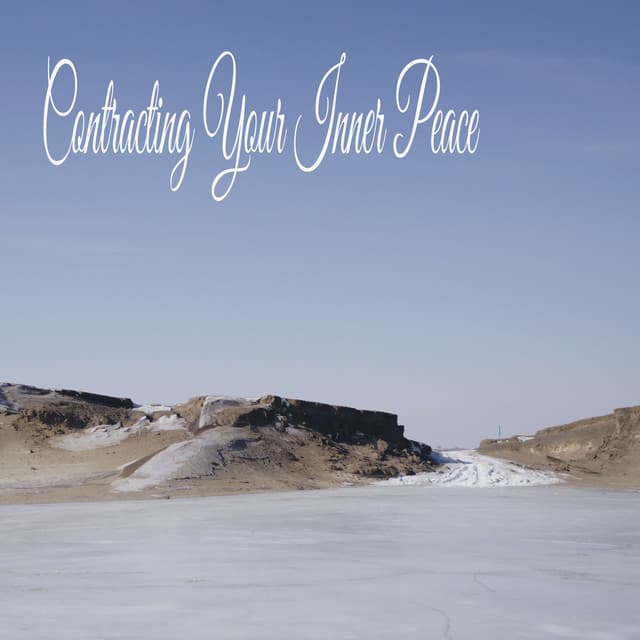 Contracting Your Inner Peace - Naturaleza Sonidos