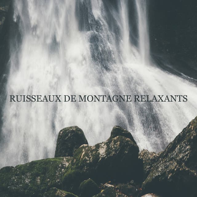 Ensamble de Musique Méditation