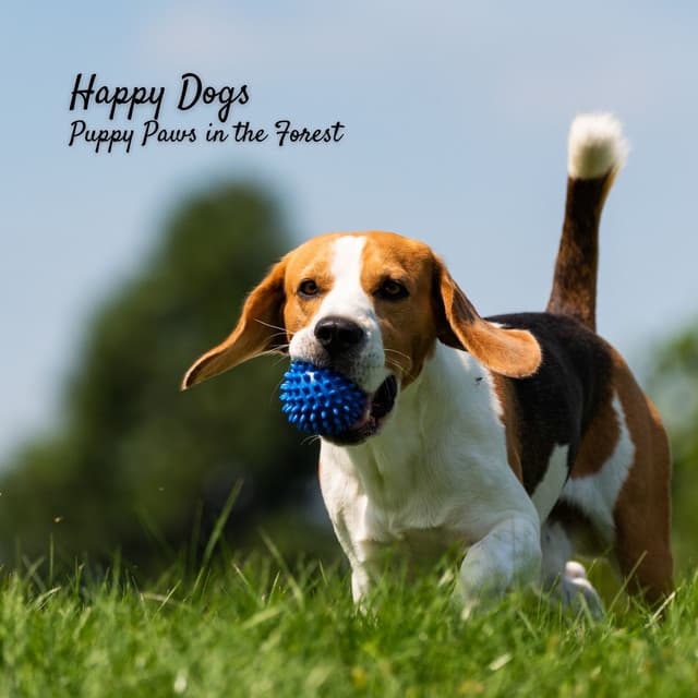 Happy Dogs: Puppy Paws in the Forest - Forest Sounds FX