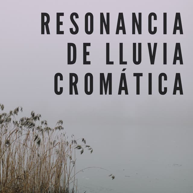 Resonancia De Lluvia Cromática - Efectos especiales de lluvia del bosque