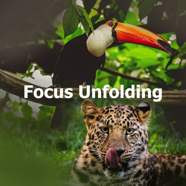 Focus Unfolding - Concentracion Examenes