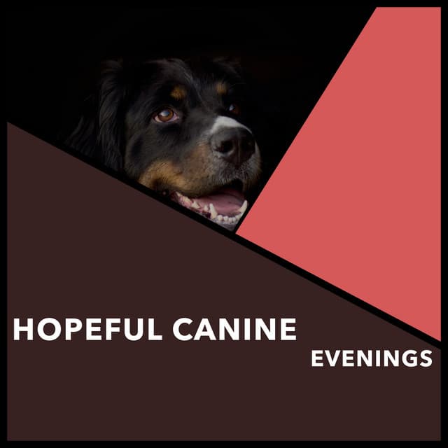 Hopeful Canine Evenings - Dogs Music Therapy
